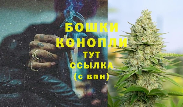 MESCALINE Богданович